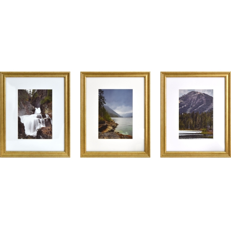 Picture Frame Set Stepped Gold Profile, Nature Triptych, Wide Mat