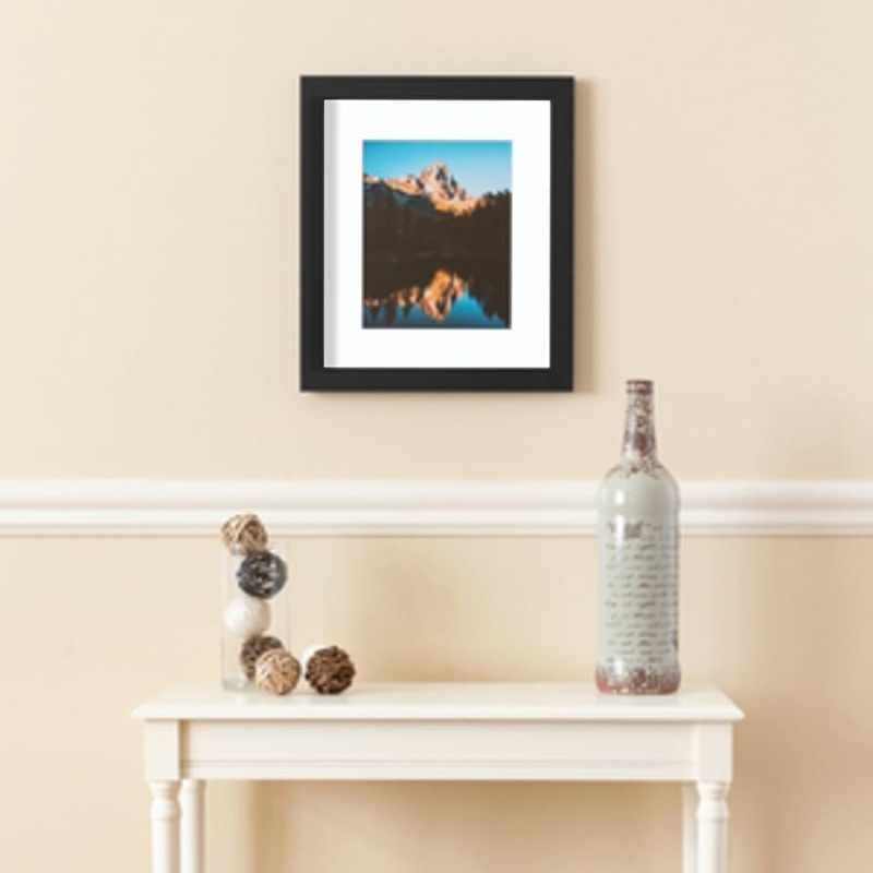 Satin Black Picture Frame with White Matting, Transitional Wall Art