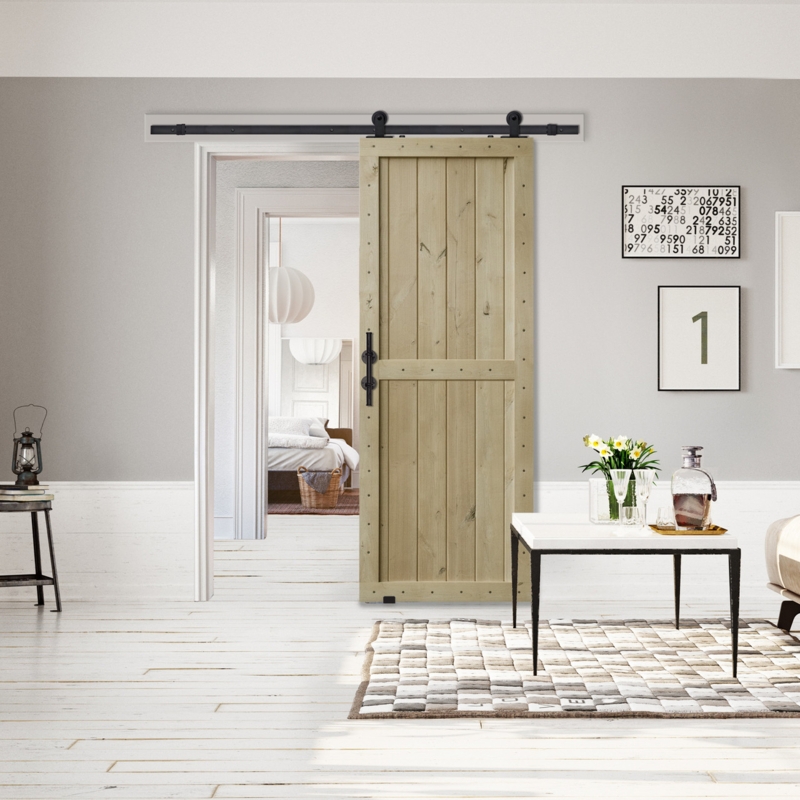 Barn Door Two Panel Light Wood Minimalist Sliding Design