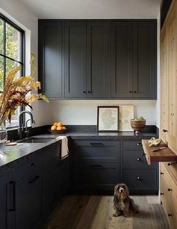Black Kitchen Cabinet Hardware Design Ideas