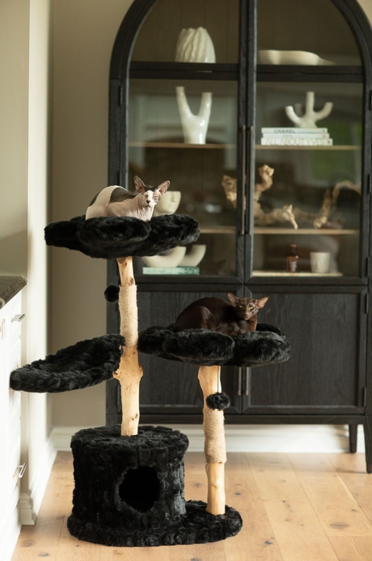 Cat Tree Flower Shaped Perch Black Plush Branch Structure