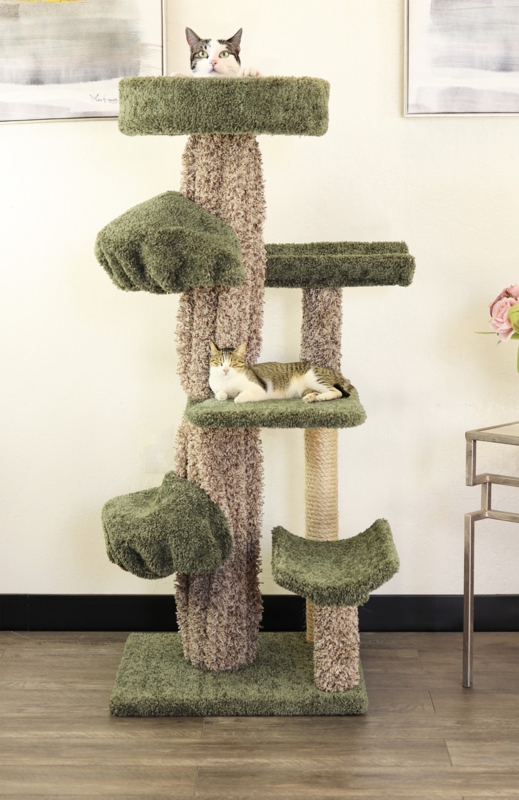 Cat Trees And Condos All Cat Trees, Perches & Scratchers