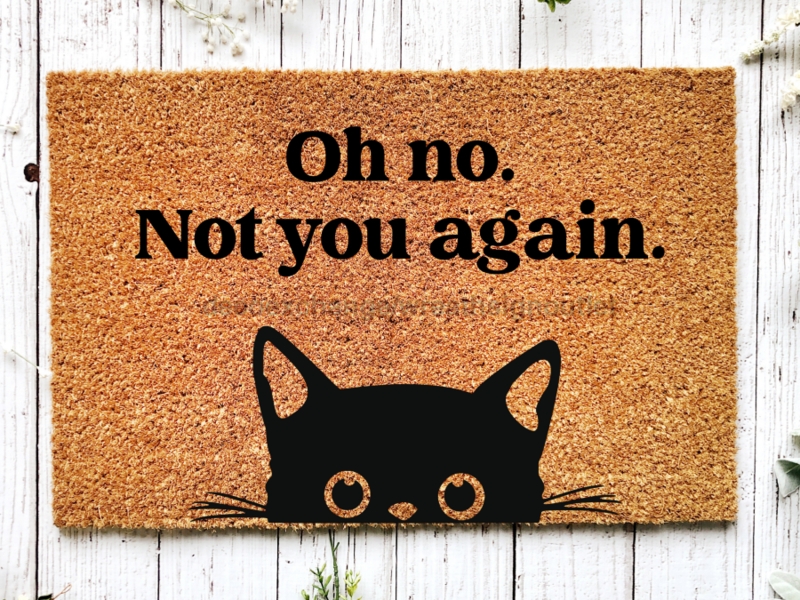 Coir Doormat with Cat Graphic & Humorous Text Design Idea