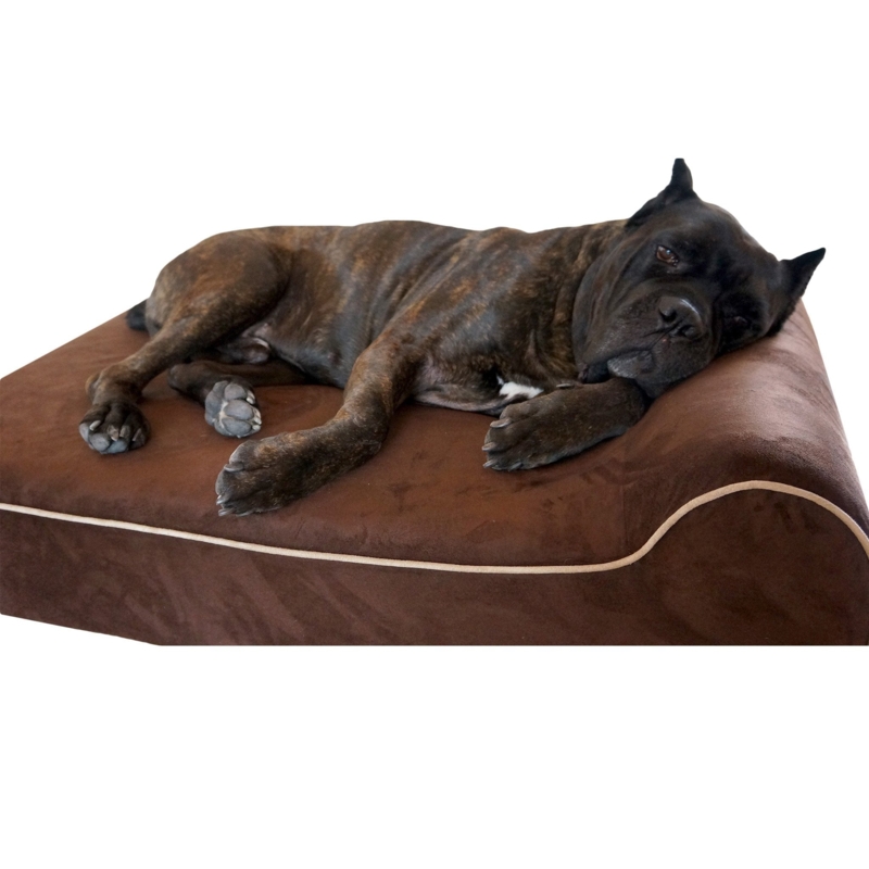 Dog Bed Chocolate Brown with Raised Bolster and Contrasting Piping