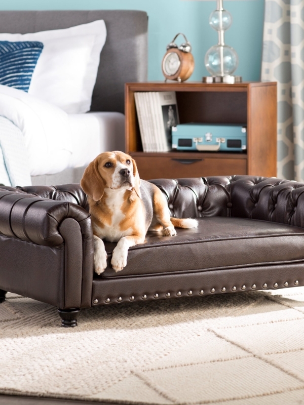 Dog Sofa, Brown, Diamond Tufting, Nailhead Trim, Turned Legs.