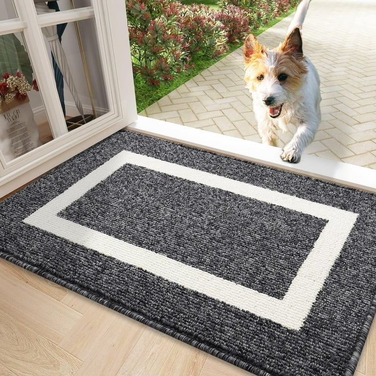 Door Mat Modern Entryway Charcoal Grey Contrasting Border Low Profile