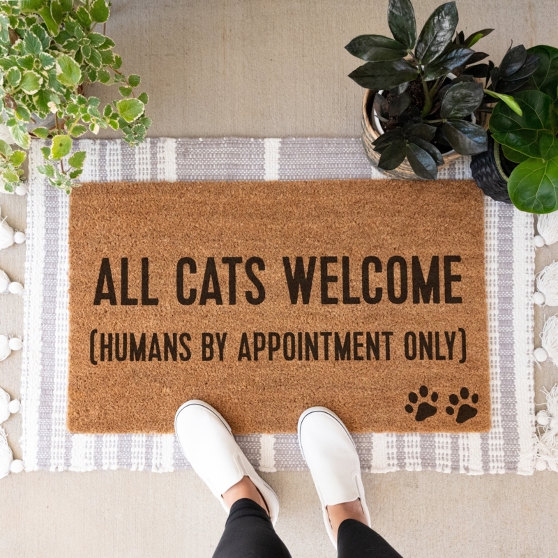 Doormat Funny Cat Lover Mat Layered Over Striped Porch Rug