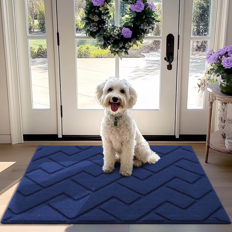 Doormat Geometric Chevron Raised Texture Blue Entryway Rug