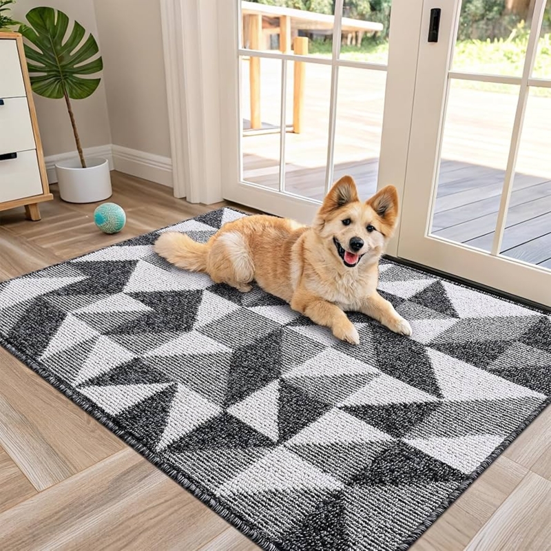 Doormat Geometric Pattern Low Profile Scandinavian Entryway Mat
