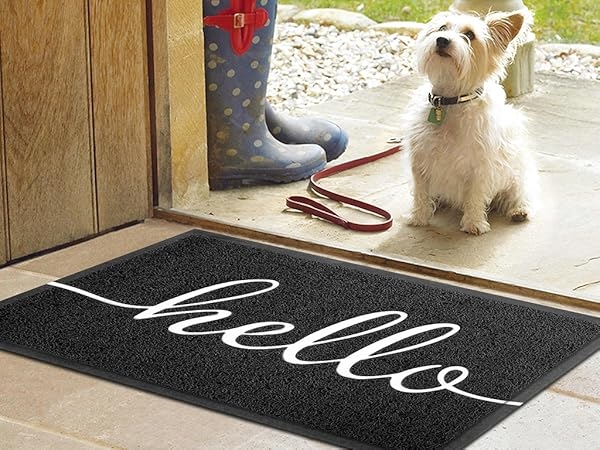 Doormat, Low Profile Border, Black, White Script Hello, Modern Decor.
