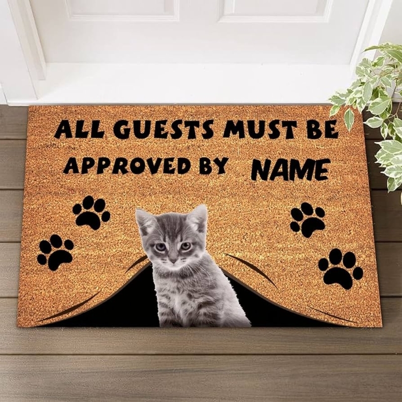 Doormat Playful Kitten Graphic Personalized Name Funny Sign Coir