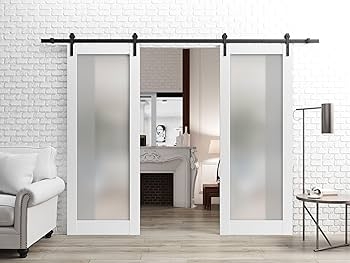 Double Barn Door Frosted Glass Black Track Farmhouse Room Divider