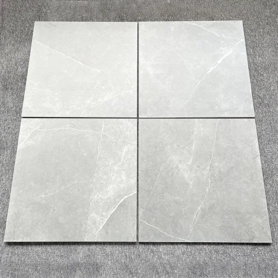 Floor Tile Light Grey Subtle Veining Matte Square Format Minimalist