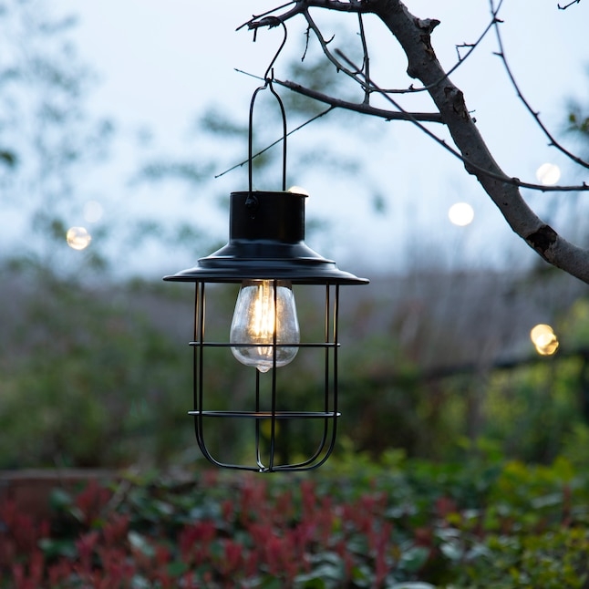 Hanging Lantern Black Metal Wire Cage with Edison Bulb Interior