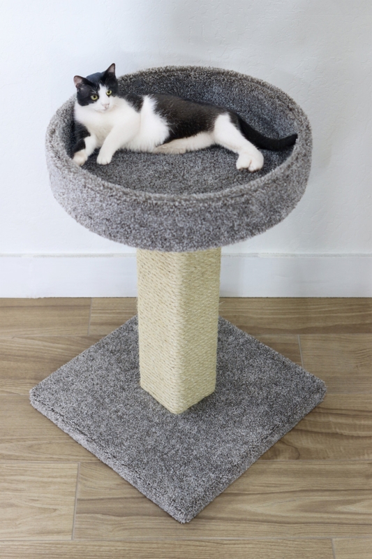 Heavy Duty Cat Scratching Post with Thick Sisal and Bowl-Shaped Perch