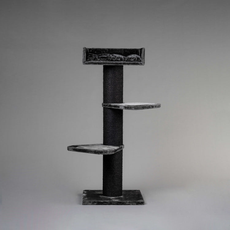 Minimalist Cat Tree Monochromatic Charcoal Plush Rimmed Bed