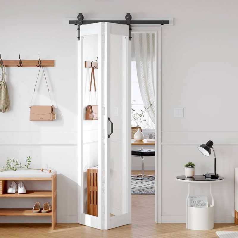 Mirrored Bifold Barn Door Glass Lite Space Saving Closet Door Ideas