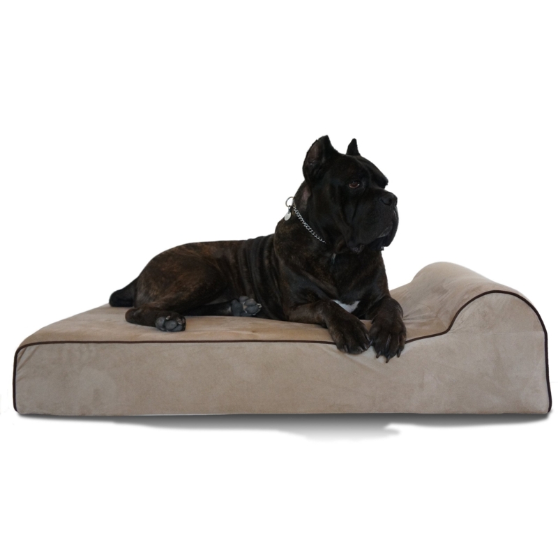 Orthopedic Dog Bed Tan with Raised Bolster and Contrast Piping