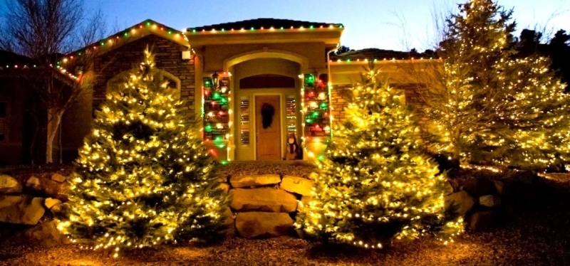 Outdoor Christmas Lights Heavily Lit Trees Multi Colored Roofline Decor