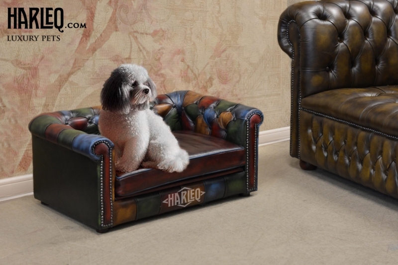Pet Sofa, Multicolor Patchwork, Button Tufted, Chesterfield.