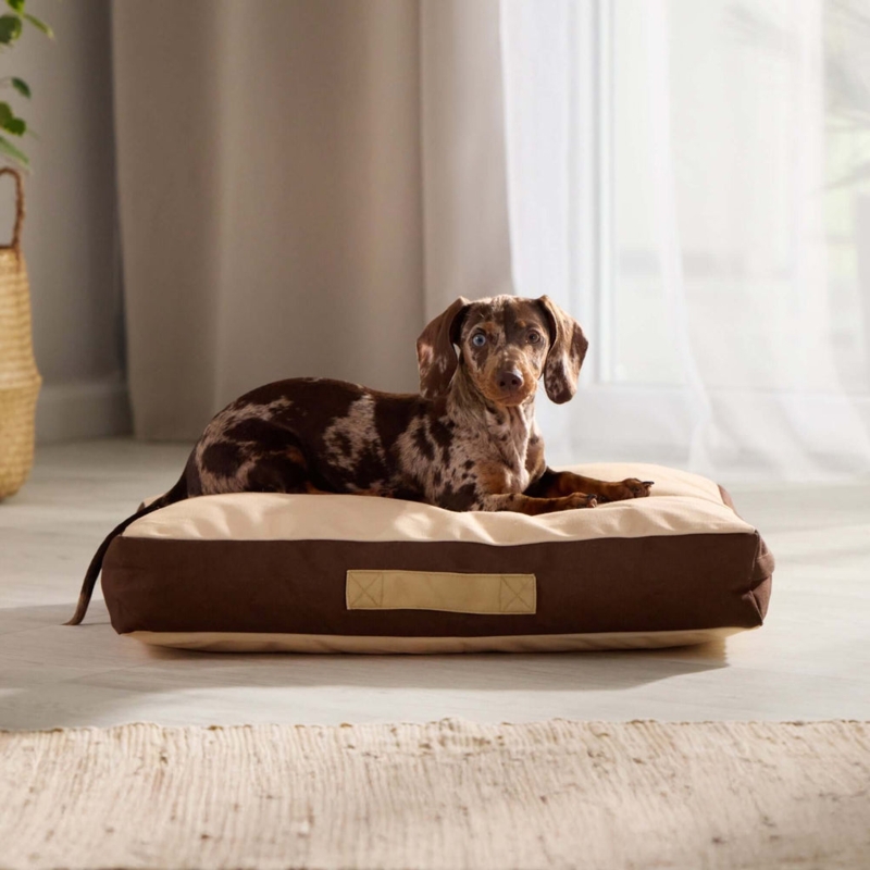 Rectangular Pet Bed Brown Two Tone With Side Handle