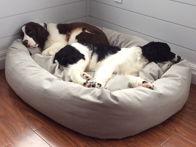 Round Dog Bed Greige Woven Fabric Bolster for Cozy Pet Nook