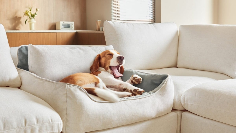 Sectional Sofa, Cream, Integrated Pet Bed, Modular Design.