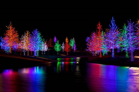 String Lights Multi Colored Water Reflections Tree Wrapped (68)
