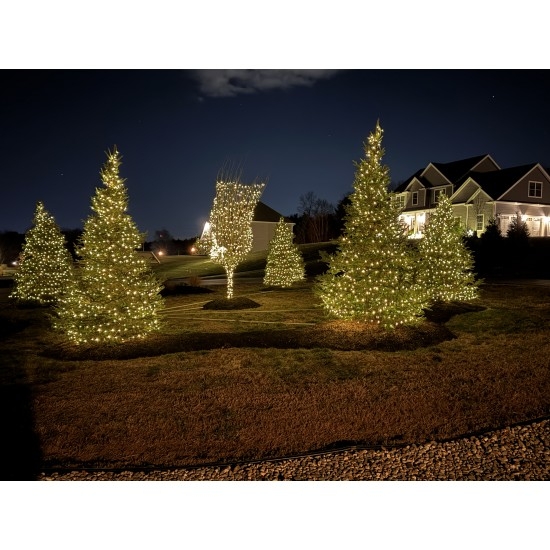 String Lights Warm White LED Full Tree Illumination Sparkling