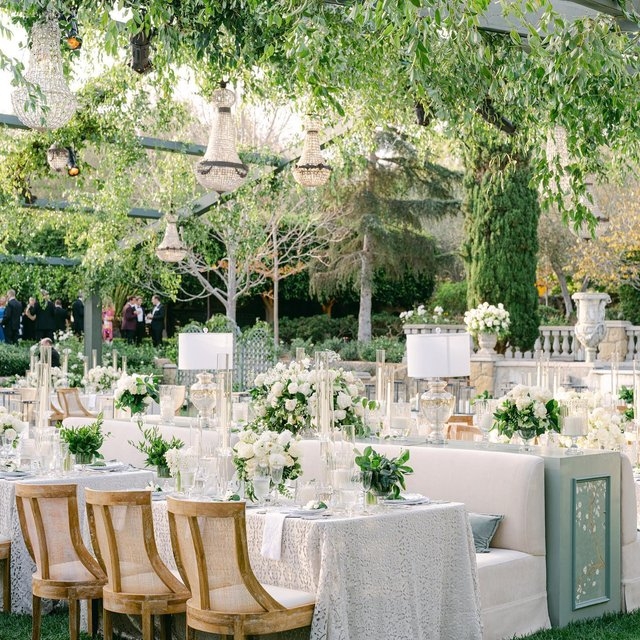 Tablecloth Lace Greenery Canopy Garden Romantic