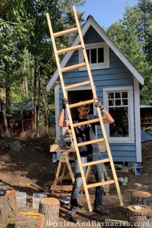 Tall Wooden Loft Ladder Light Tone Flat Rungs Tiny House Design Utilitarian
