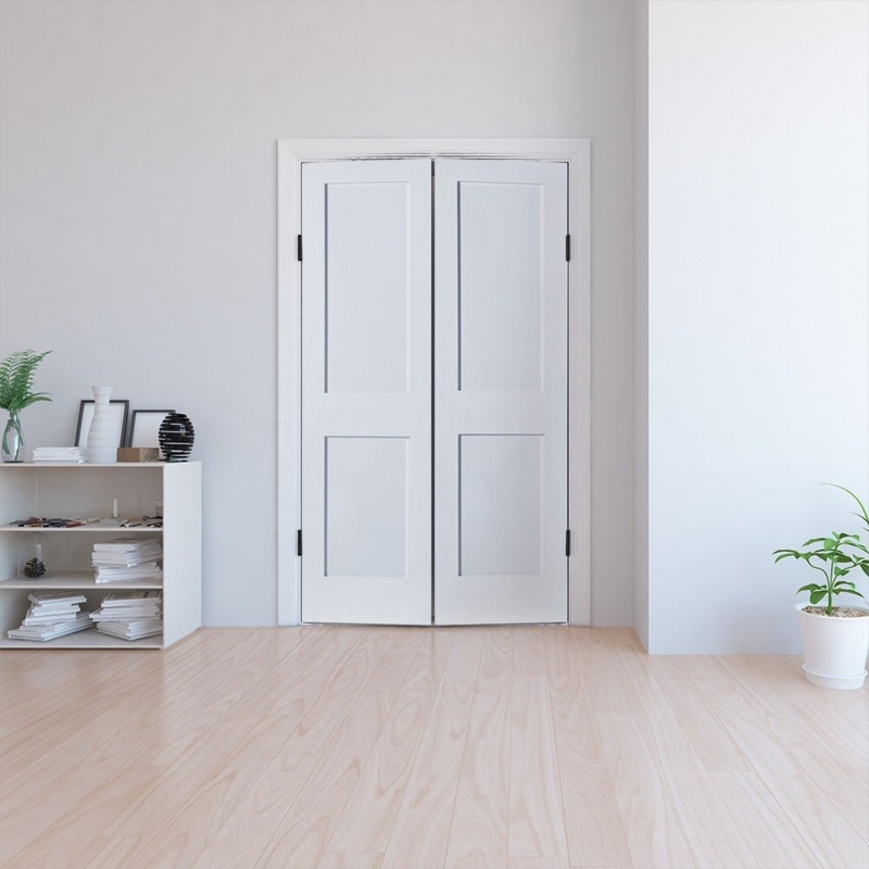 White Shaker Double Doors 2-Panel Primed Minimalist Design