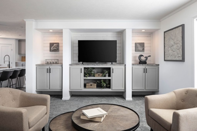 Built-In Entertainment Center: Shiplap Backing, Shelves, & Cabinets