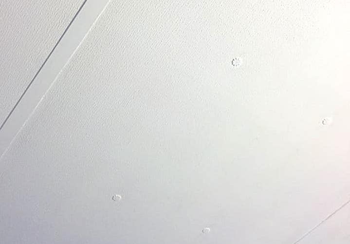 Ceiling Panel with Decorative Rosette Fasteners and Stippled Texture