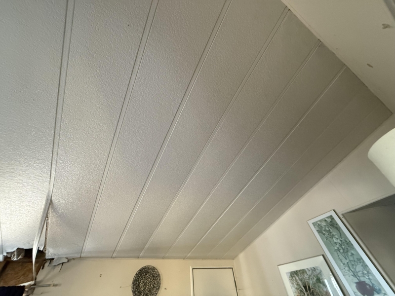Ceiling Paneling: Textured Off-White with Visible Seams and Sagging