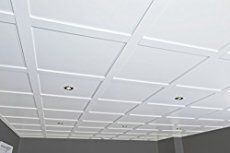 Ceiling Panels: White Coffered Grid Pattern with Recessed Lighting