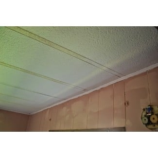 Ceiling Panels: White Stippled Finish with Wood Toned Wall Paneling