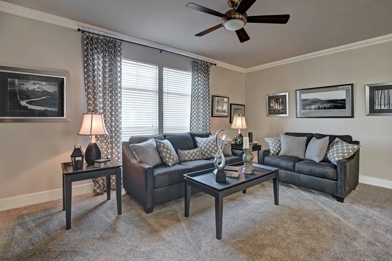 Contemporary Grey Living Room Layout with Monochrome Landscape Art