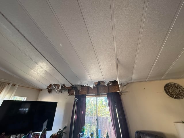 Damaged Ceiling: Sagging Panels with Exposed Rafters in Living Room
