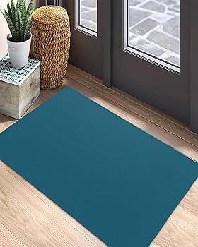 Door Mat Absorbent Look Solid Color Clean Mudroom Flooring