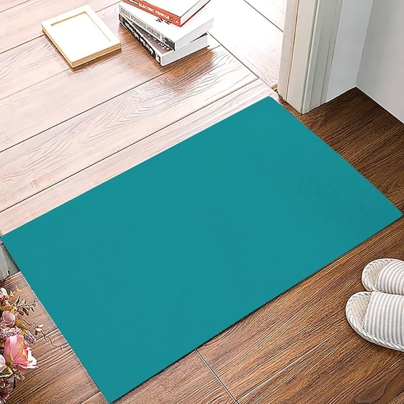 Doormat Saturated Hue Ultra Thin Profile Minimalist Mudroom Styling