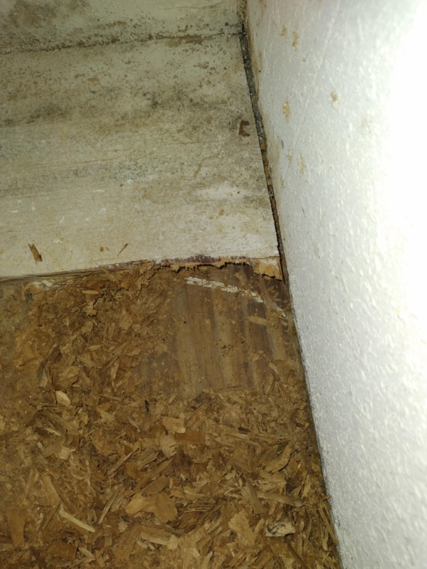Exposed Particle Board Subfloor Detail: Multi-Layer Flooring Repair