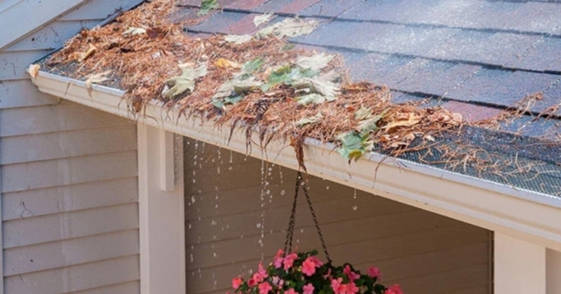 Gutter Guard Mesh Screen Showing Water Overflow and Debris