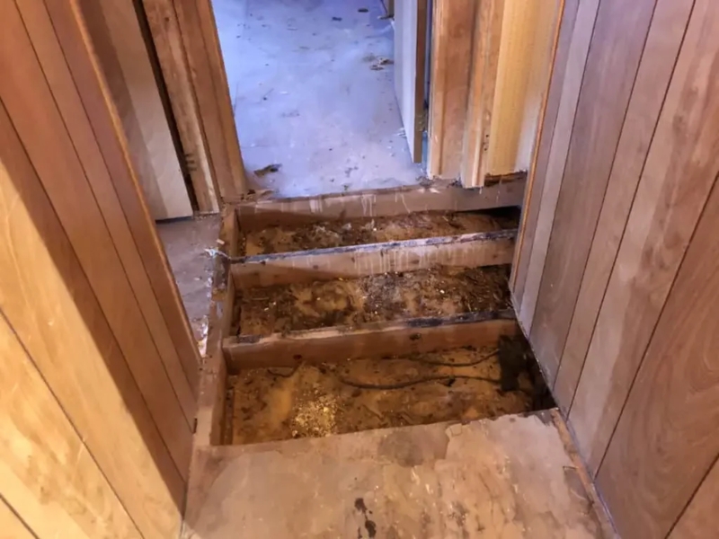 Hallway Renovation Scene Exposed Joists Vertical Grooved Paneling
