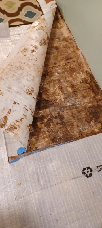 Identifying Rotted Wood Subflooring: Severe Water Damage & Vapor Barrier