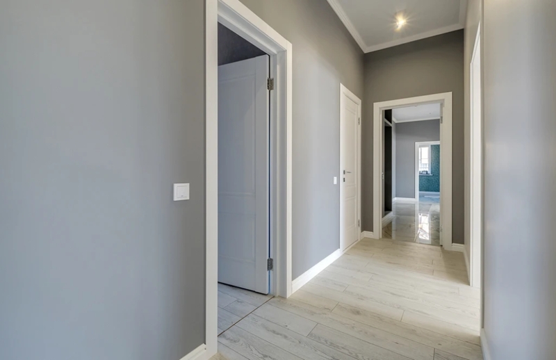 Interior Doors Raised Panel Gray Palette Modern Hallway Plank Floor