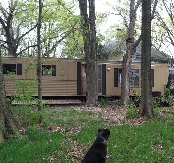 Mobile Home Rustic Landscape Design Tan Siding Window Shutters