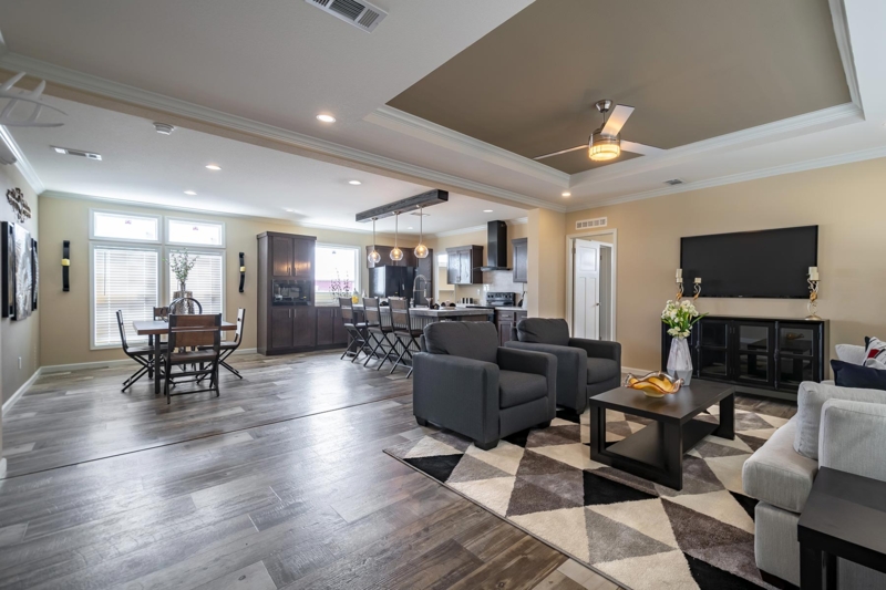 Open Concept Living Room: Geometric Rug and Tray Ceiling Design