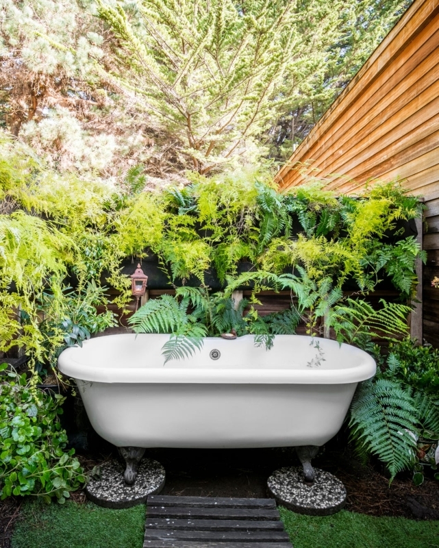 Outdoor Clawfoot Bathtub Ideas against a Lush Fern Backdrop