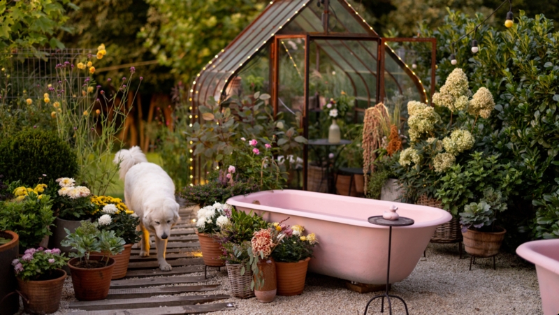 Pink Outdoor Bathtub Ideas near Greenhouse with String Lights